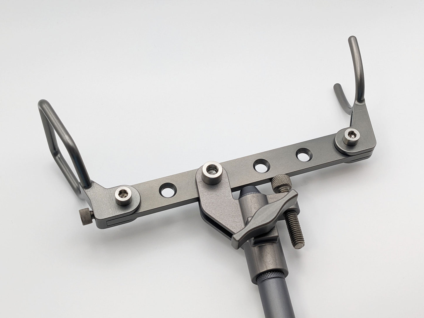 フジピトン石鯛