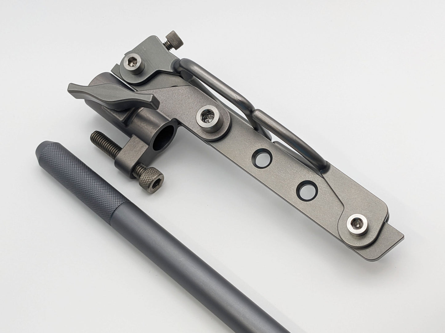 フジピトン石鯛