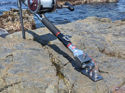 石突ボックス＆ベース