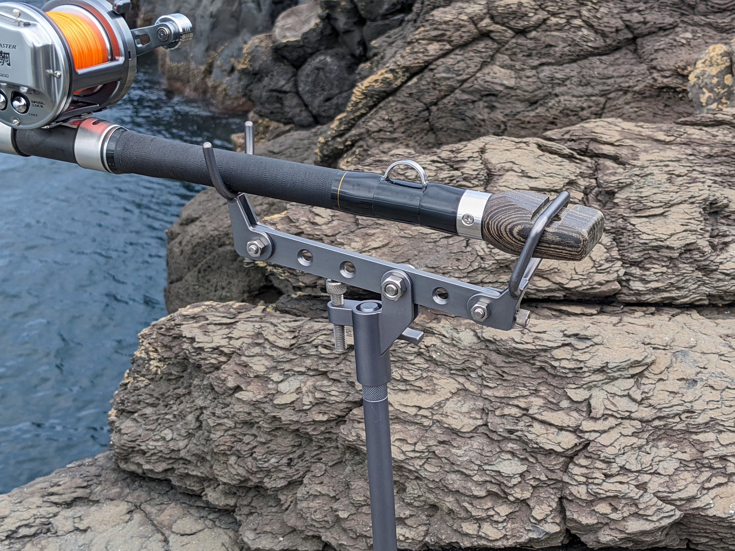 フジピトン石鯛