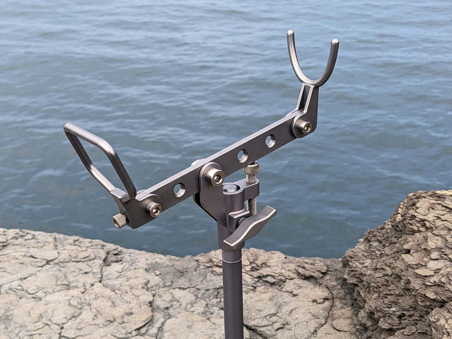 フジピトン石鯛